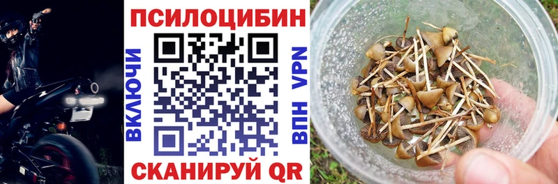 Купить где Протвино Галлюциногенные грибы прущие грибы