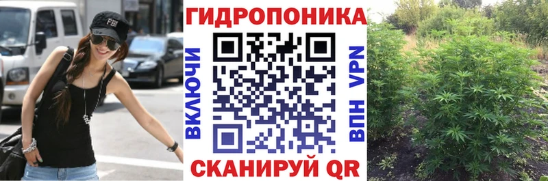 Марихуана MAZAR  Купить где  Протвино 